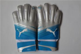 Перчатки вратарские Puma Evopower Grip 2.3 Blue