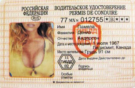 Прикол - удостоверение Памела