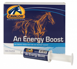 Cavalor An Energy Boost 60 мл