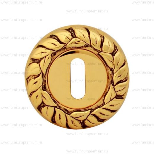 Накладка на межкомнатный замок Class 60 PAT