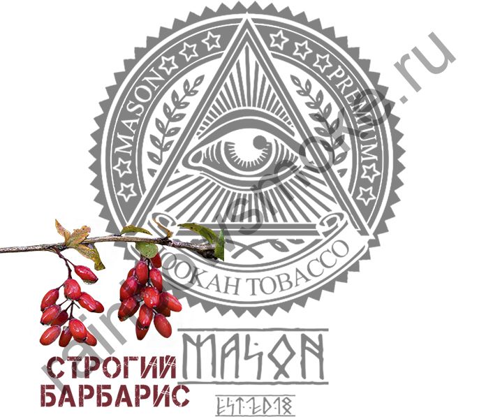 Mason 100 гр - Строгий Барбарис