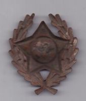 Знак "Командир РККА" 1918-1922 года