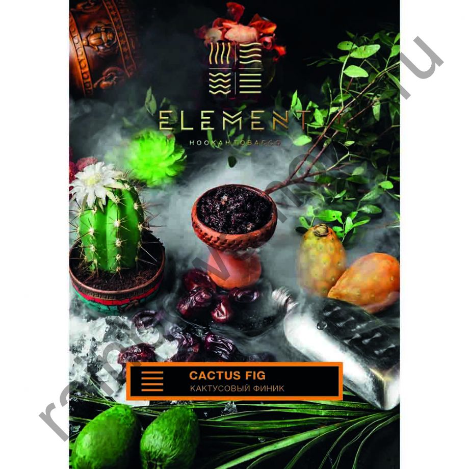 Element Земля 200 гр - Cactus Fig (Кактусовый Финик)