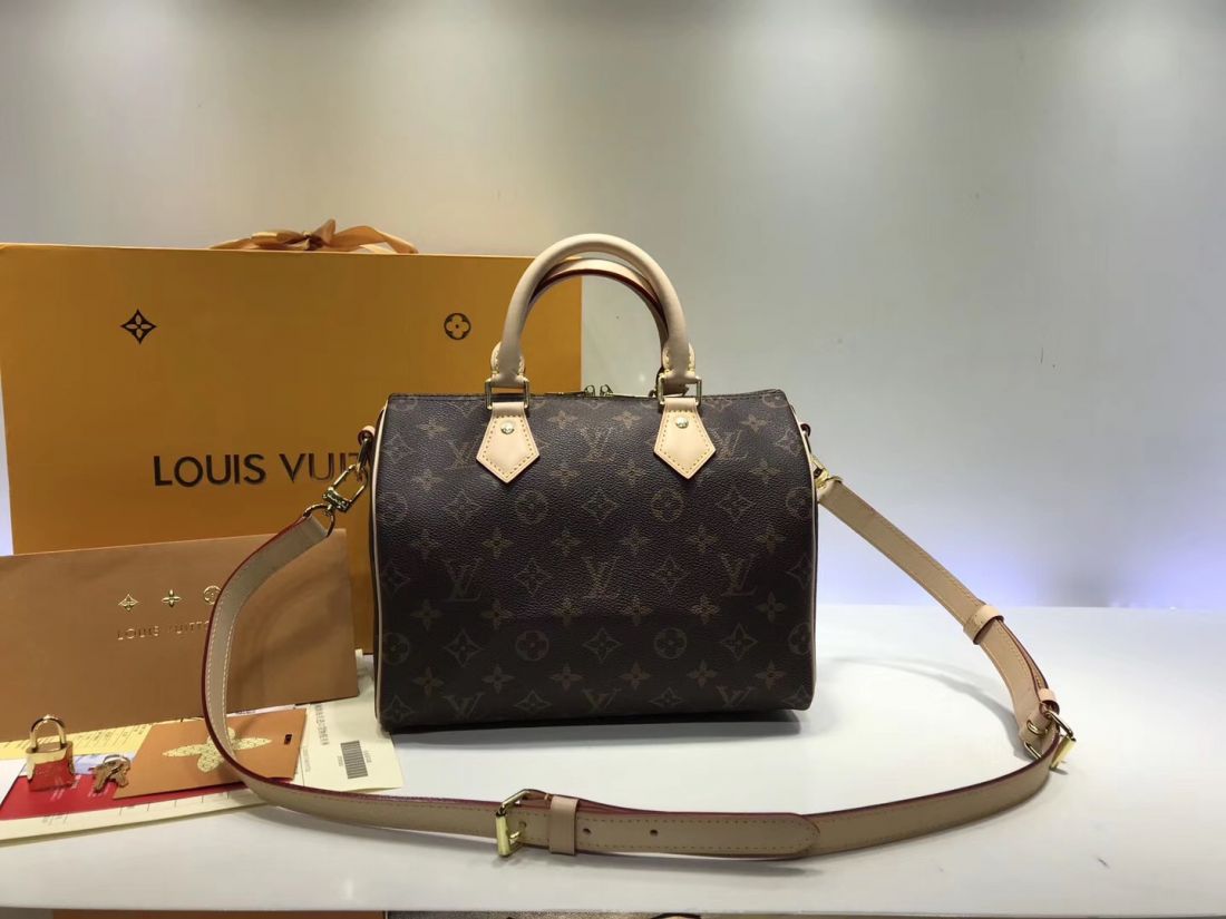 Сумка Louis Vuitton Speedy 25 Monogram Canvas