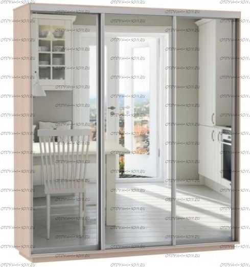 Шкаф-купе Экспресс Экспенс трио, 3 двери