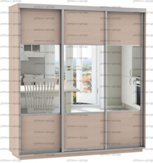 Шкаф-купе Экспресс Комби трио, 3 двери
