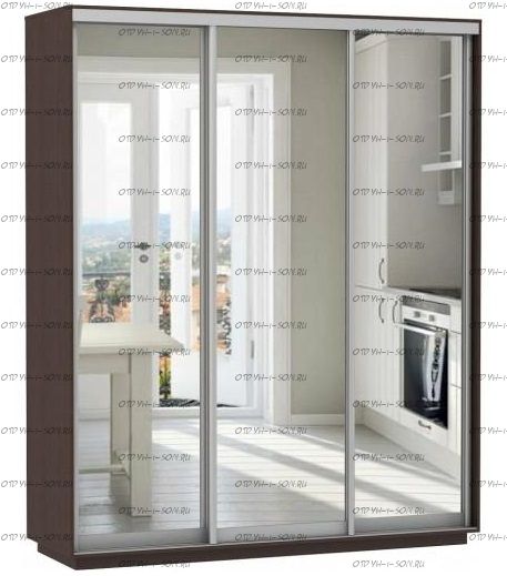 Шкаф-купе Экспресс Экспенс трио, 3 двери, венге