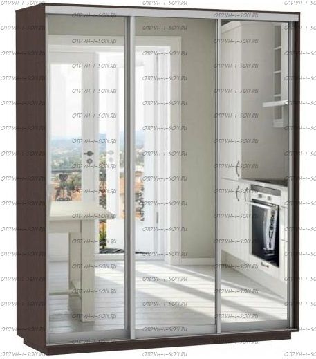 Шкаф-купе Экспресс Экспенс трио, 3 двери, венге