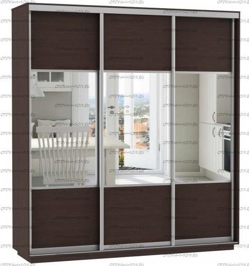 Шкаф-купе Экспресс Комби трио, 3 двери, венге