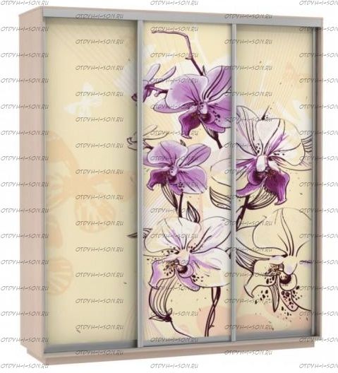 Шкаф-купе Экспресс Фото трио, Цветы