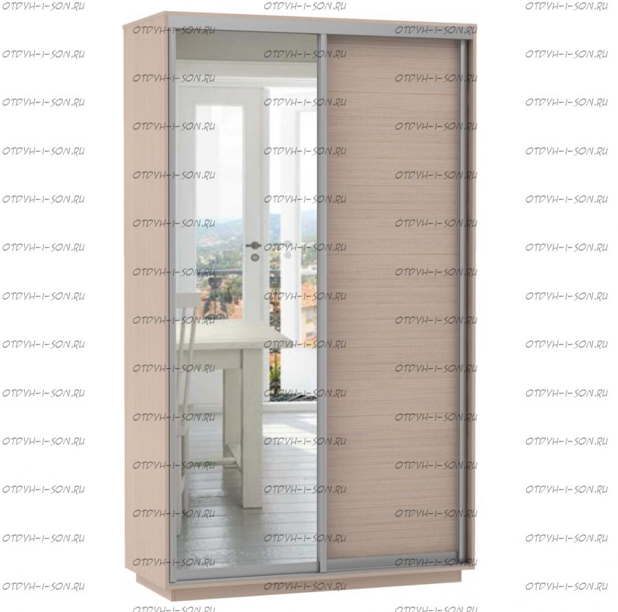 Шкаф-купе Экспресс Медиум дуо, 2 двери