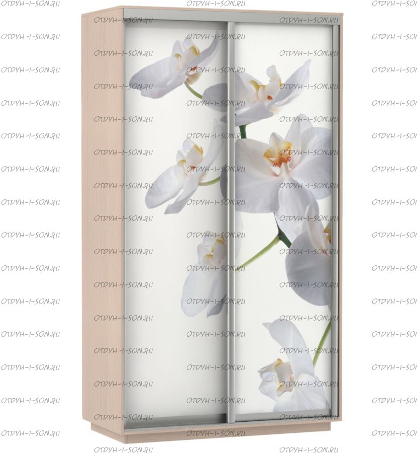 Шкаф-купе Экспресс Фото дуо, Цветы белые