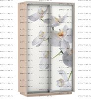 Шкаф-купе Экспресс Фото дуо, Цветы белые