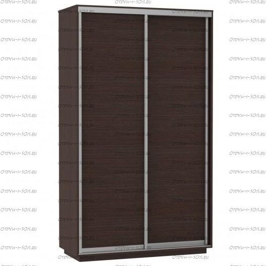 Шкаф-купе Экспресс Элемент дуо, 2 двери, венге