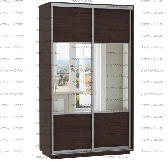 Шкаф-купе Экспресс Комби дуо, 2 двери, венге