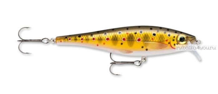 Воблер Rapala BX Minnow BXM10 100 мм / 12 гр / Заглубление: 0,9 - 1,5 м / цвет: TR