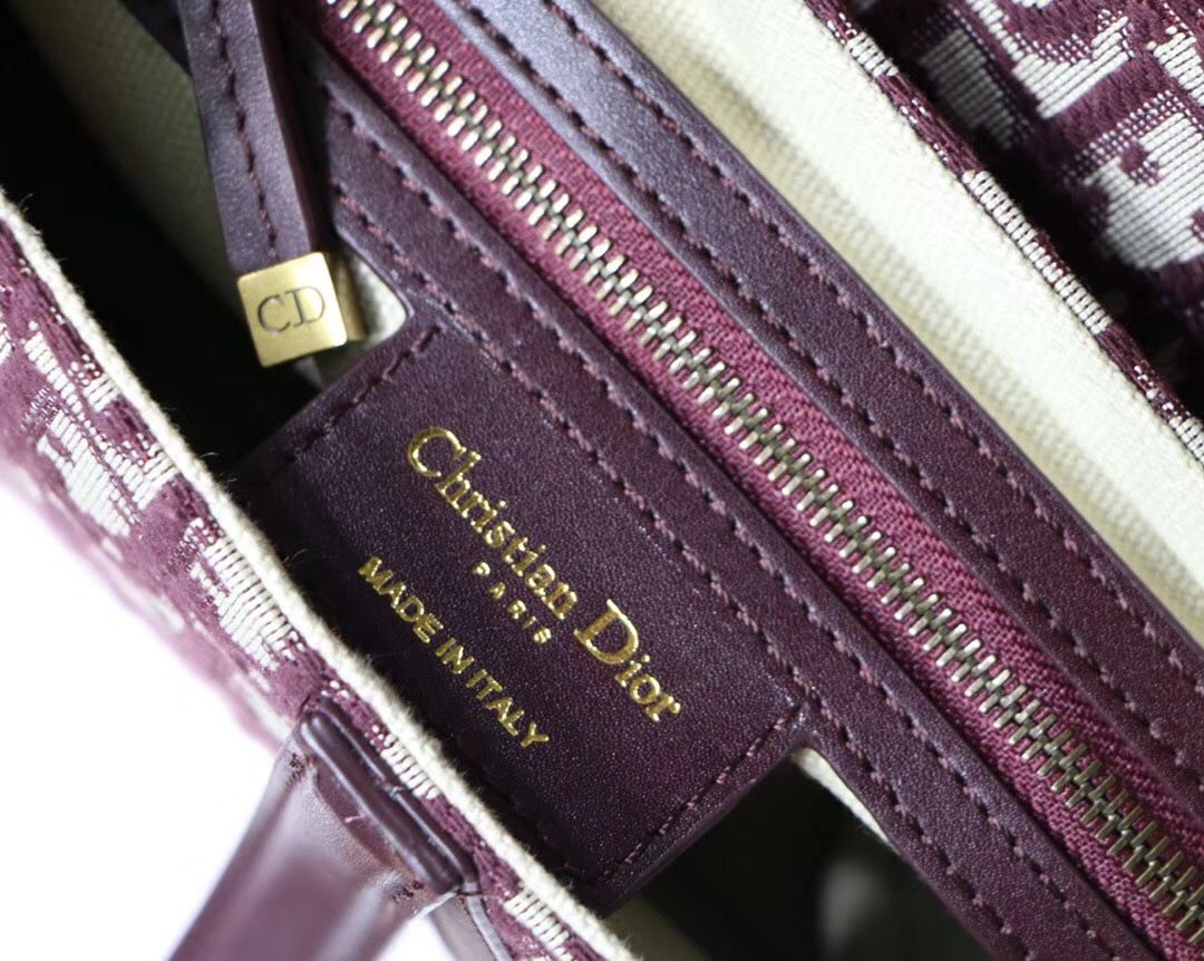 Dior Saddle