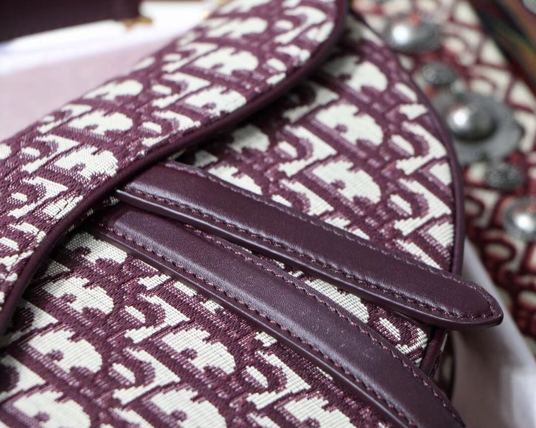 Dior Saddle