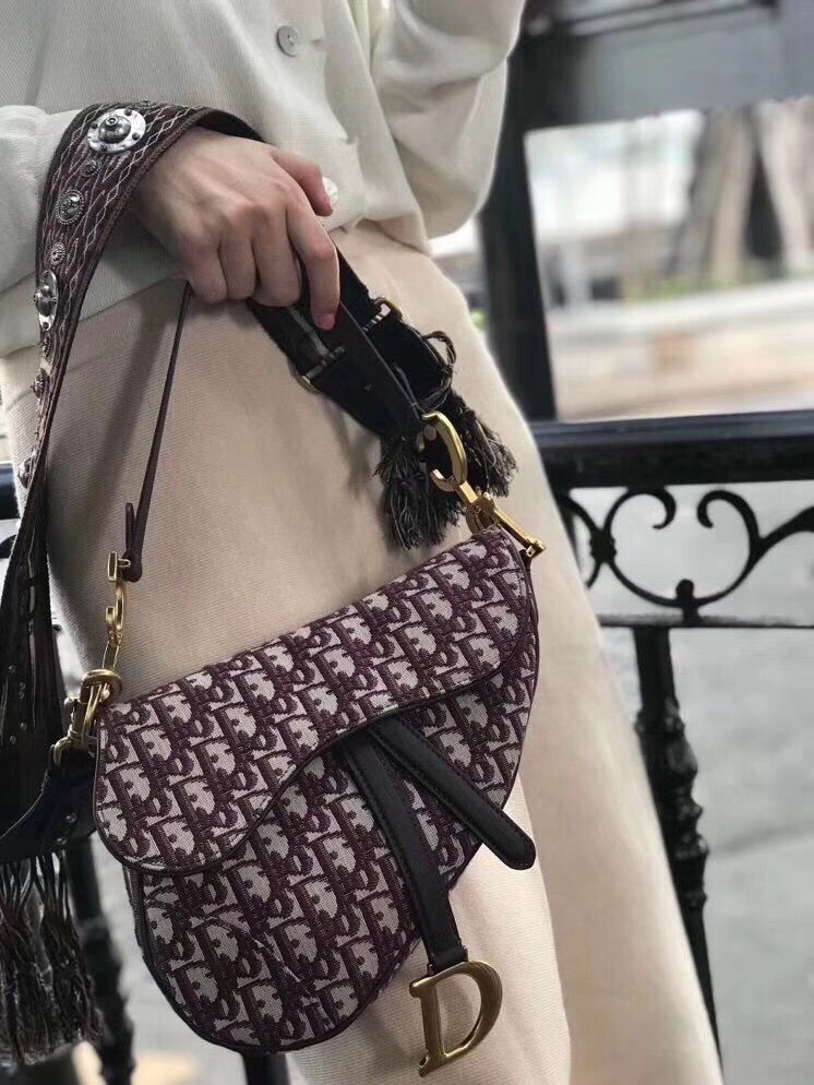 Dior Saddle
