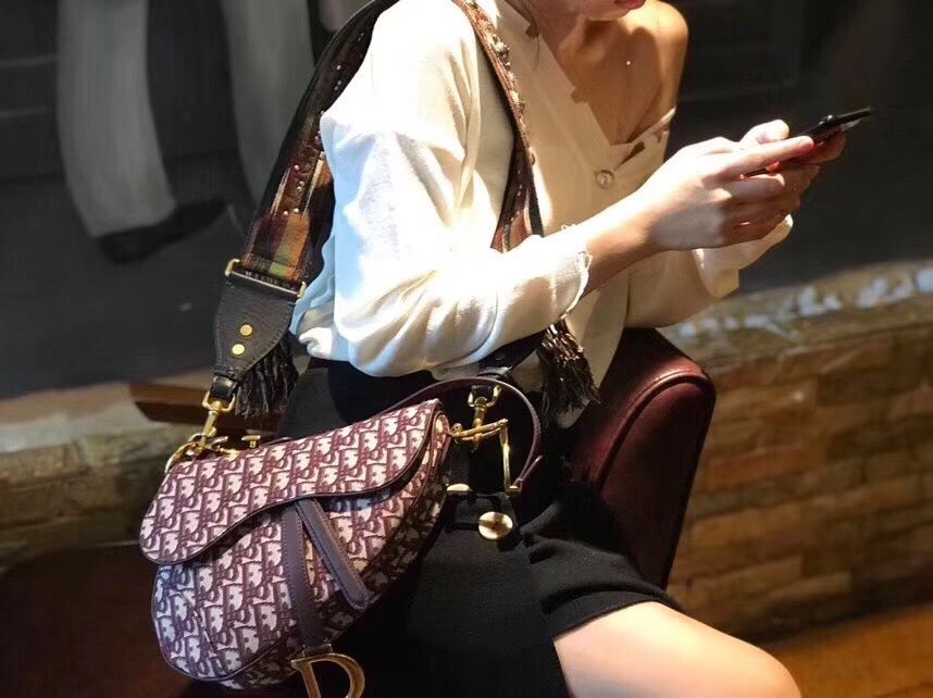Dior Saddle