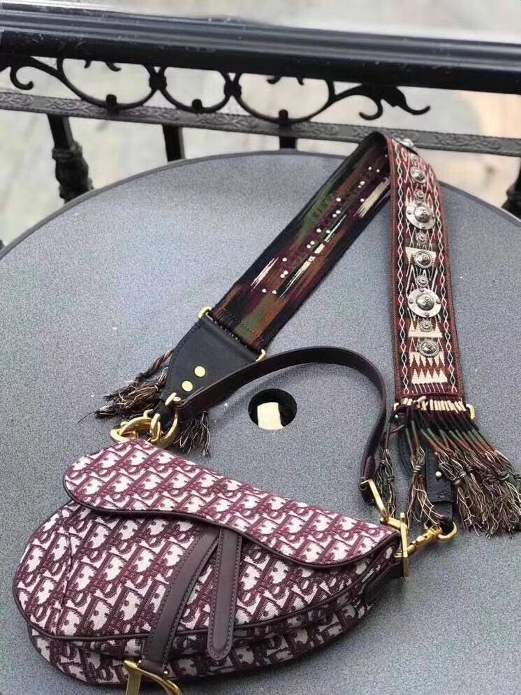 Dior Saddle