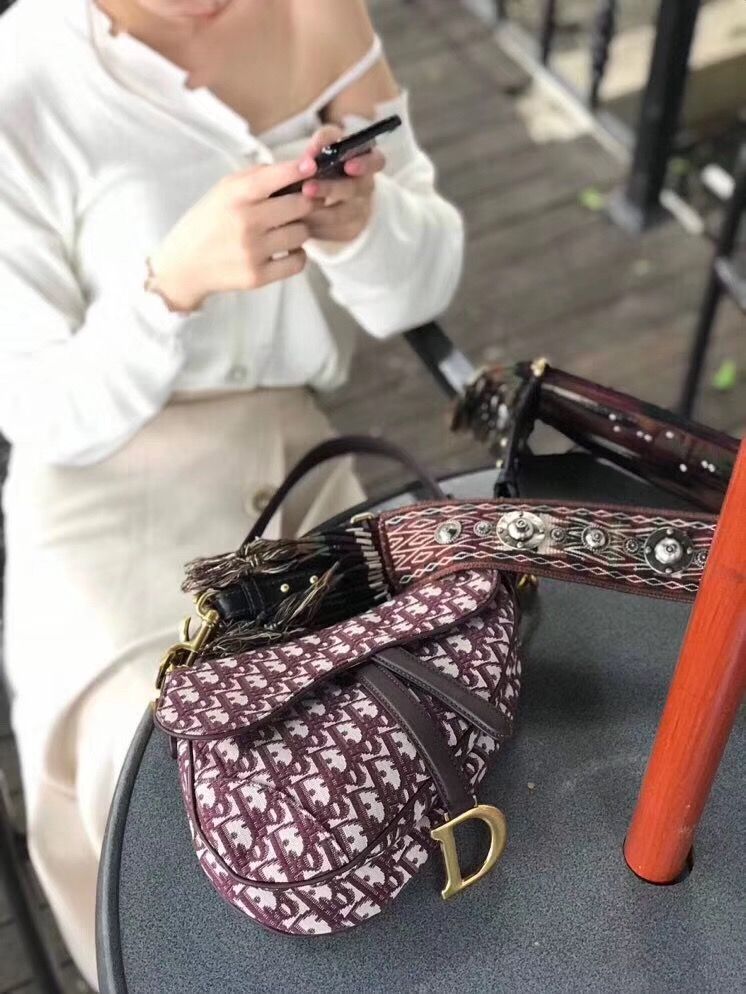 Dior Saddle