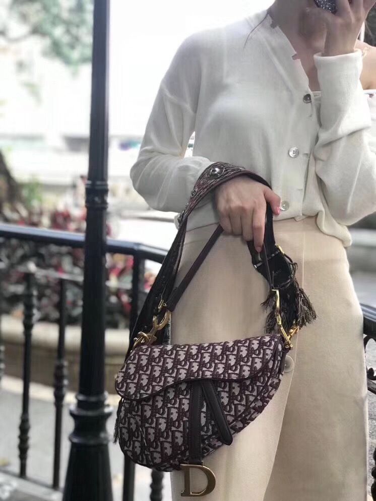 Dior Saddle