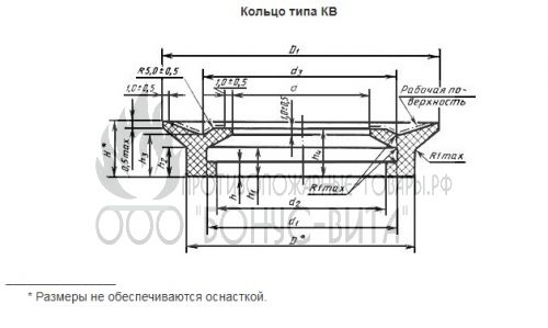 КВ-100 кольцо уплотнительное для всасывающих линий