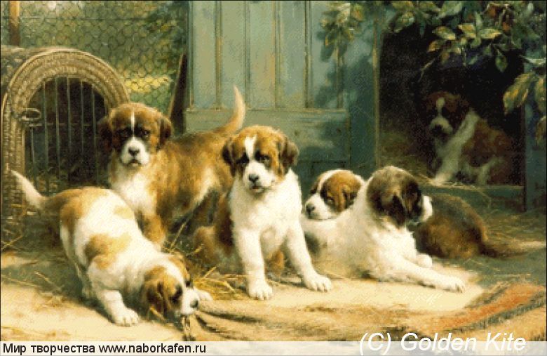 1676. St. Bernard Puppies