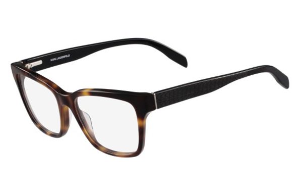 Karl Lagerfeld Очки KL 919 013