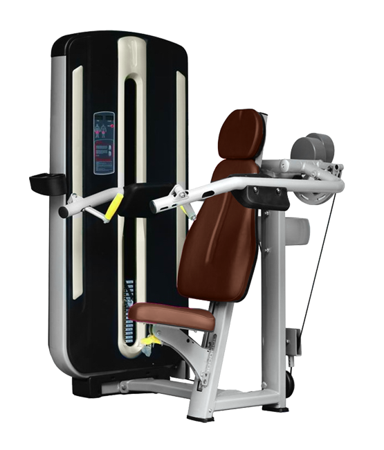 BRONZE GYM MNM-003A Дельта-машина