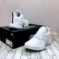 Adidas Alphabounce Instinct Full White