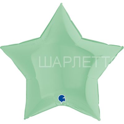 Звезда Большая НЕЖНО-ЗЕЛЕНЫЙ (макарун)