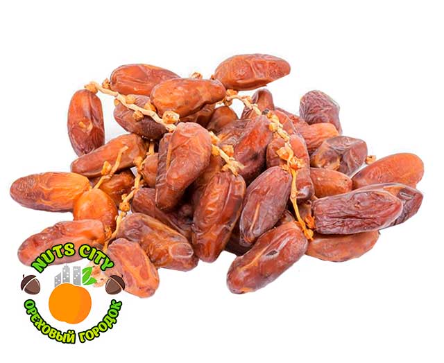 Финики на Ветке