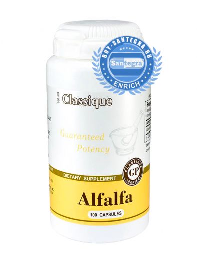 Alfalfa (Альфальфа)