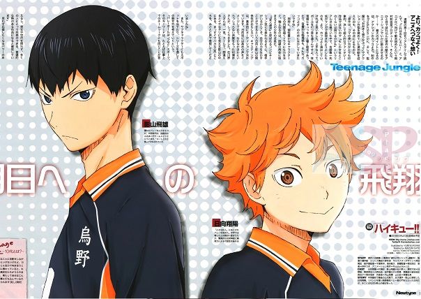 Плакат Haikyuu