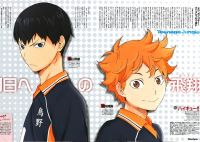 Плакат Haikyuu