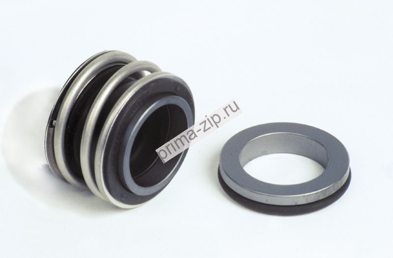 Торцевое уплотнение MG1/100 G6 AQ1VGG