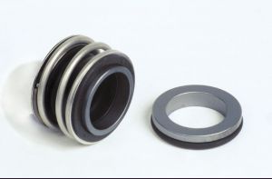 Торцевое уплотнение MG1/100 G6 AQ1VGG