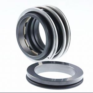 Торцевое уплотнение MG1/50 G6 Q1Q1VGG