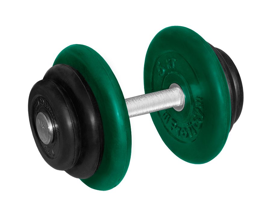 ГНЦ-18,5 Гантель обрезиненная "PROFIGYM" с хромированной ручкой 18,5 кг, цветная