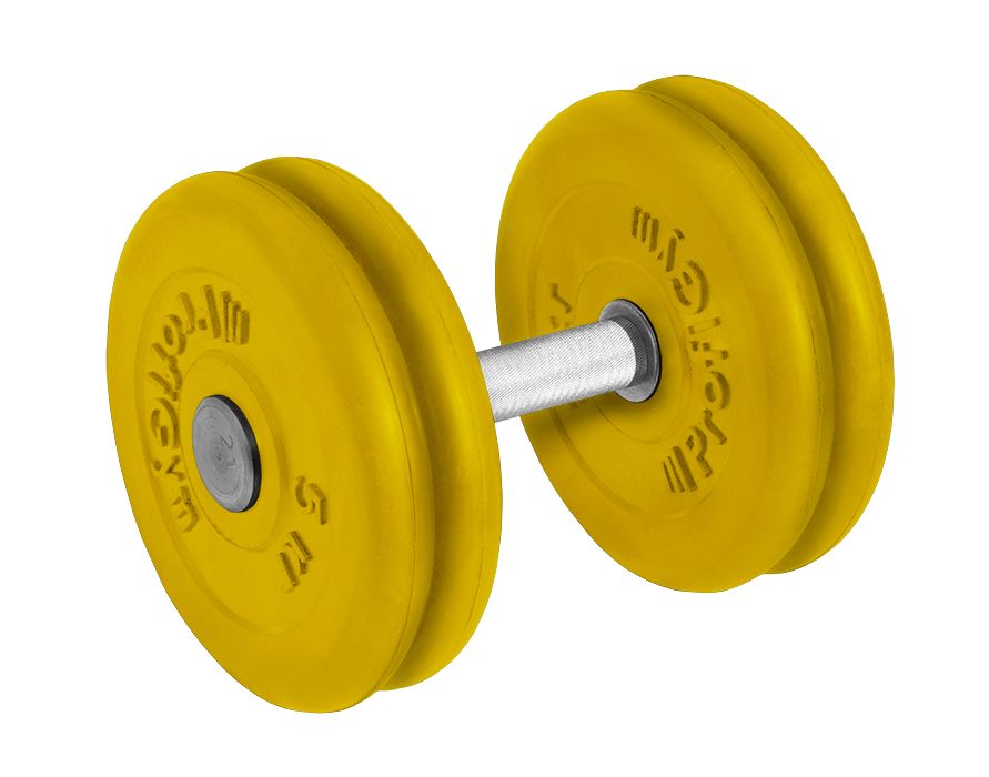 ГНЦ-21 Гантель обрезиненная "PROFIGYM" с хромированной ручкой 21 кг, цветная