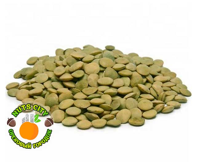 Чечевица зеленая