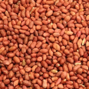 Арахис сырой Узбекистан