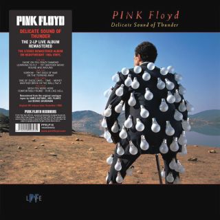 Pink Floyd – Delicate Sound Of Thunder - 1988