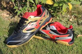 Кроссовки для Волейбола и бадминтона MIZUNO Wave Medal CN