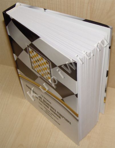 Дебют городская партия