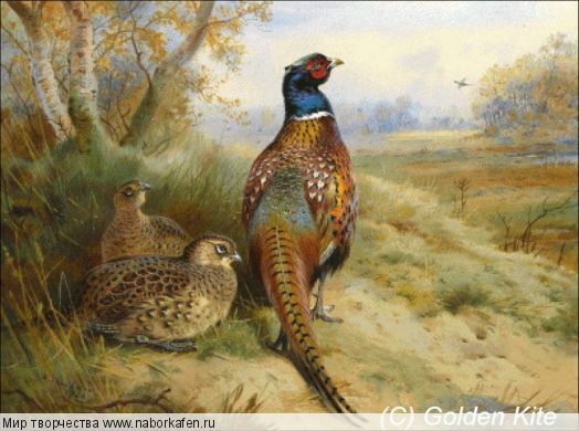 2547 Pheasants at the Edge of a Wood