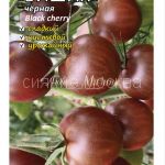 Томат Вишня черная (Black cherry) (коллекционный Мязиной Л.А.), 5 шт.