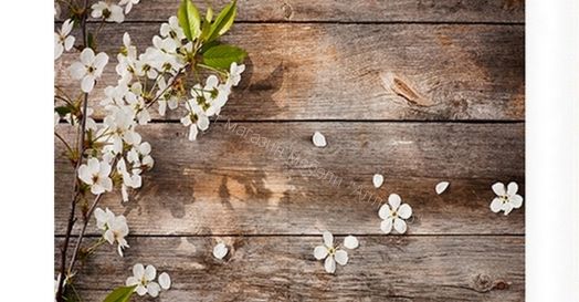 Стол со стеклом "Грация" с ящиком (Беленый дуб/Фотопечать Ветка черемухи)